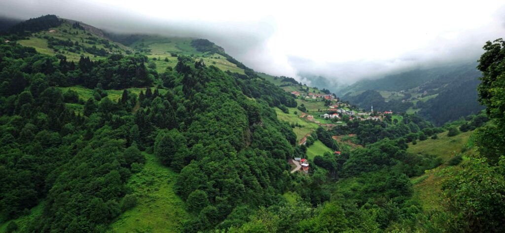 Hamsikoy view